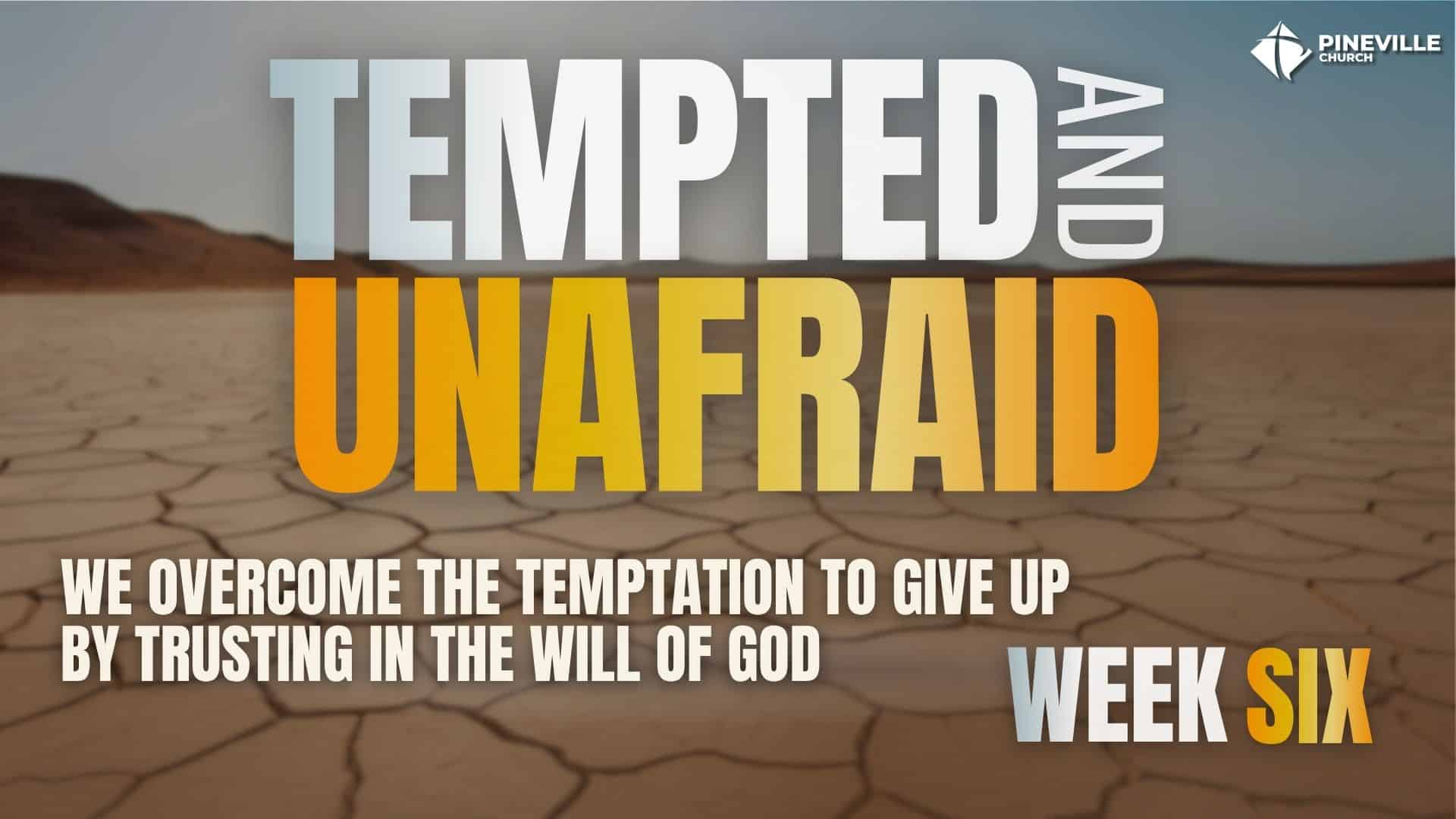 Tempted and Unafraid wk6 cover