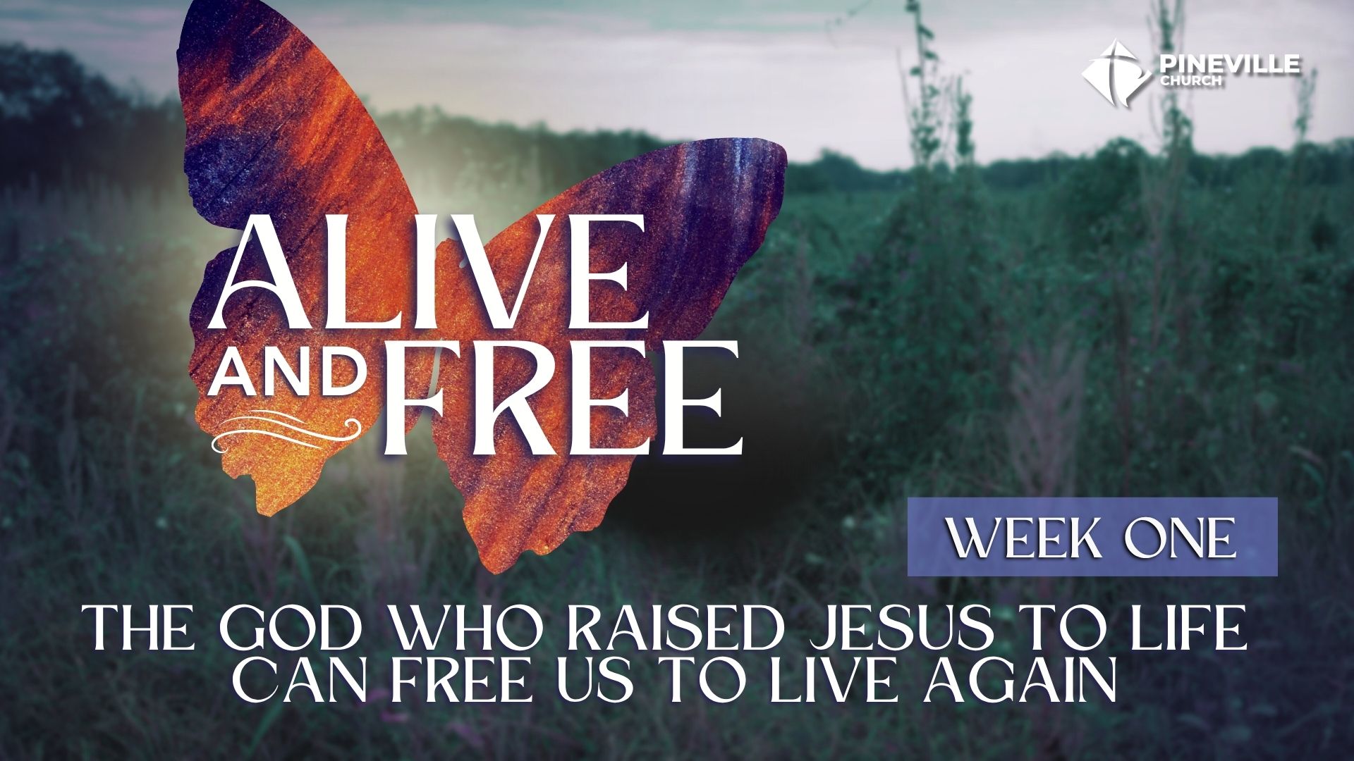 Alive and Free wk1 cover