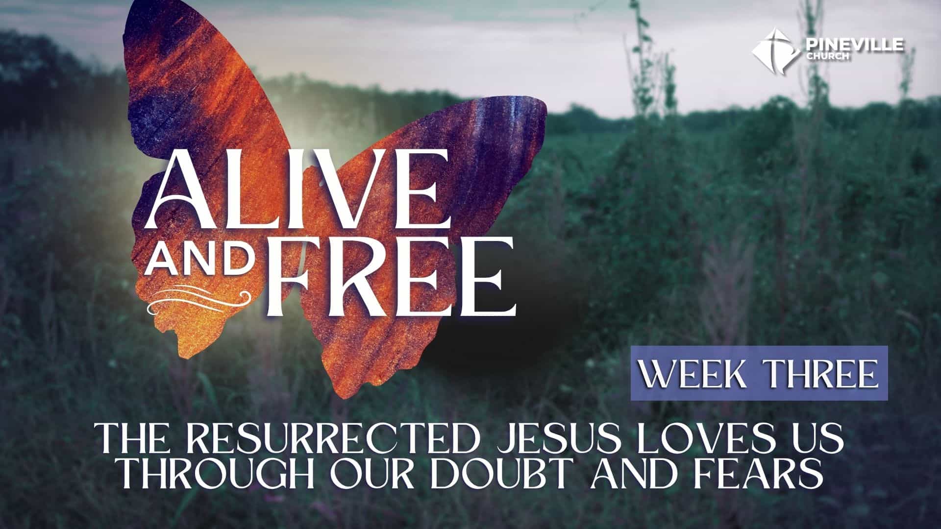 Alive and Free wk3 cover