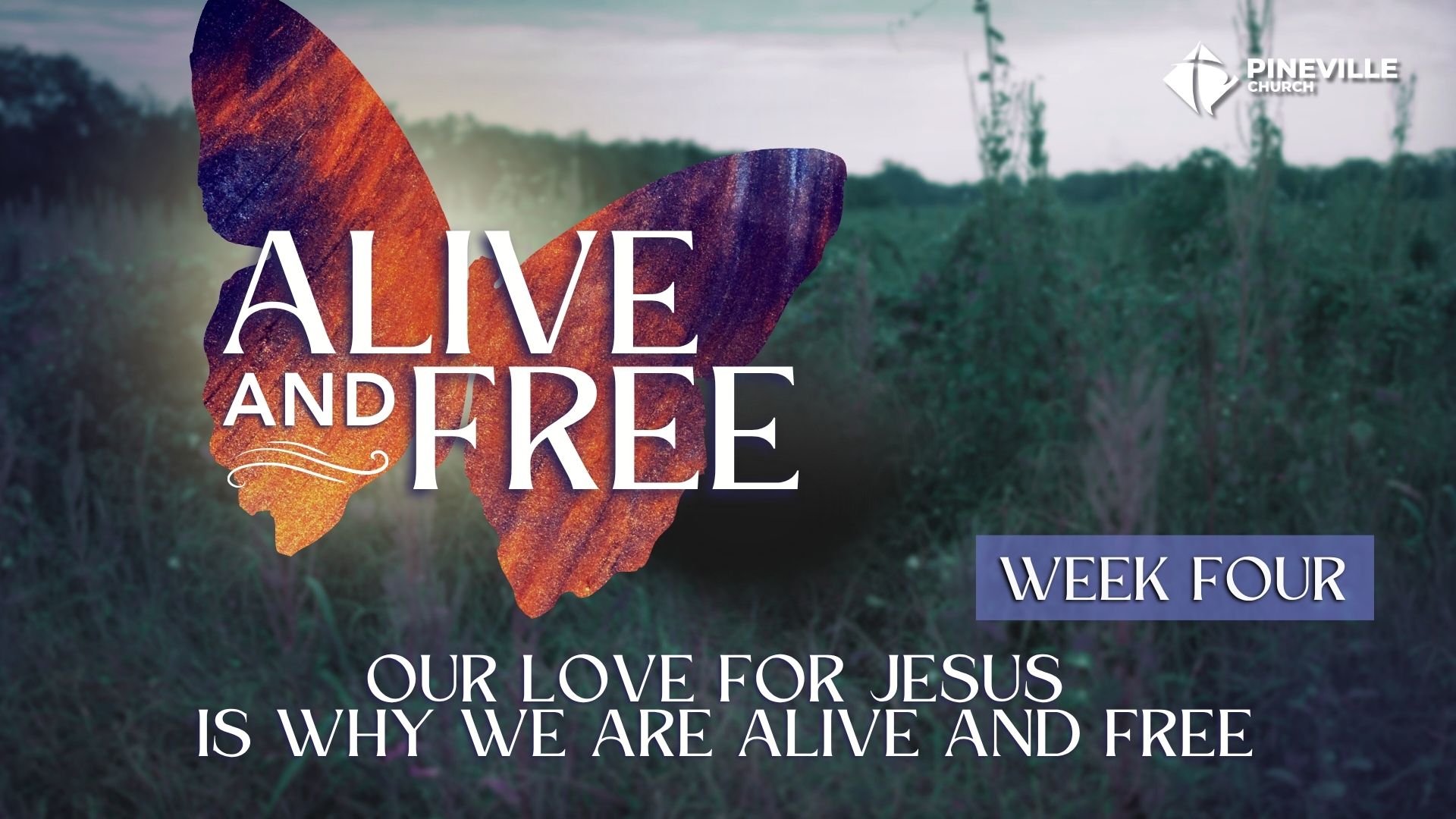 Alive and Free wk4 cover