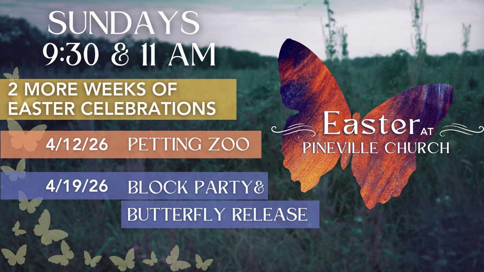 Online - Two More Weeks Easter