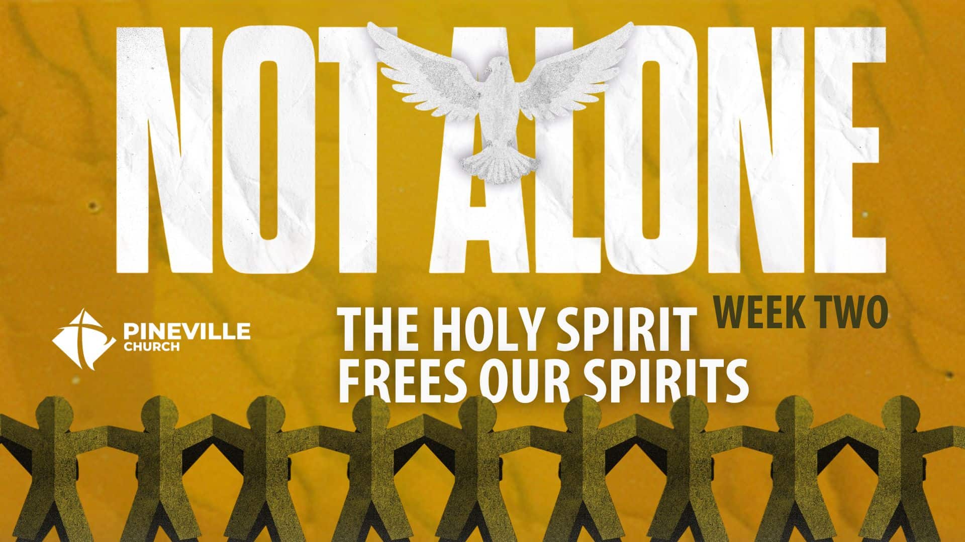 Not Alone wk2 cover