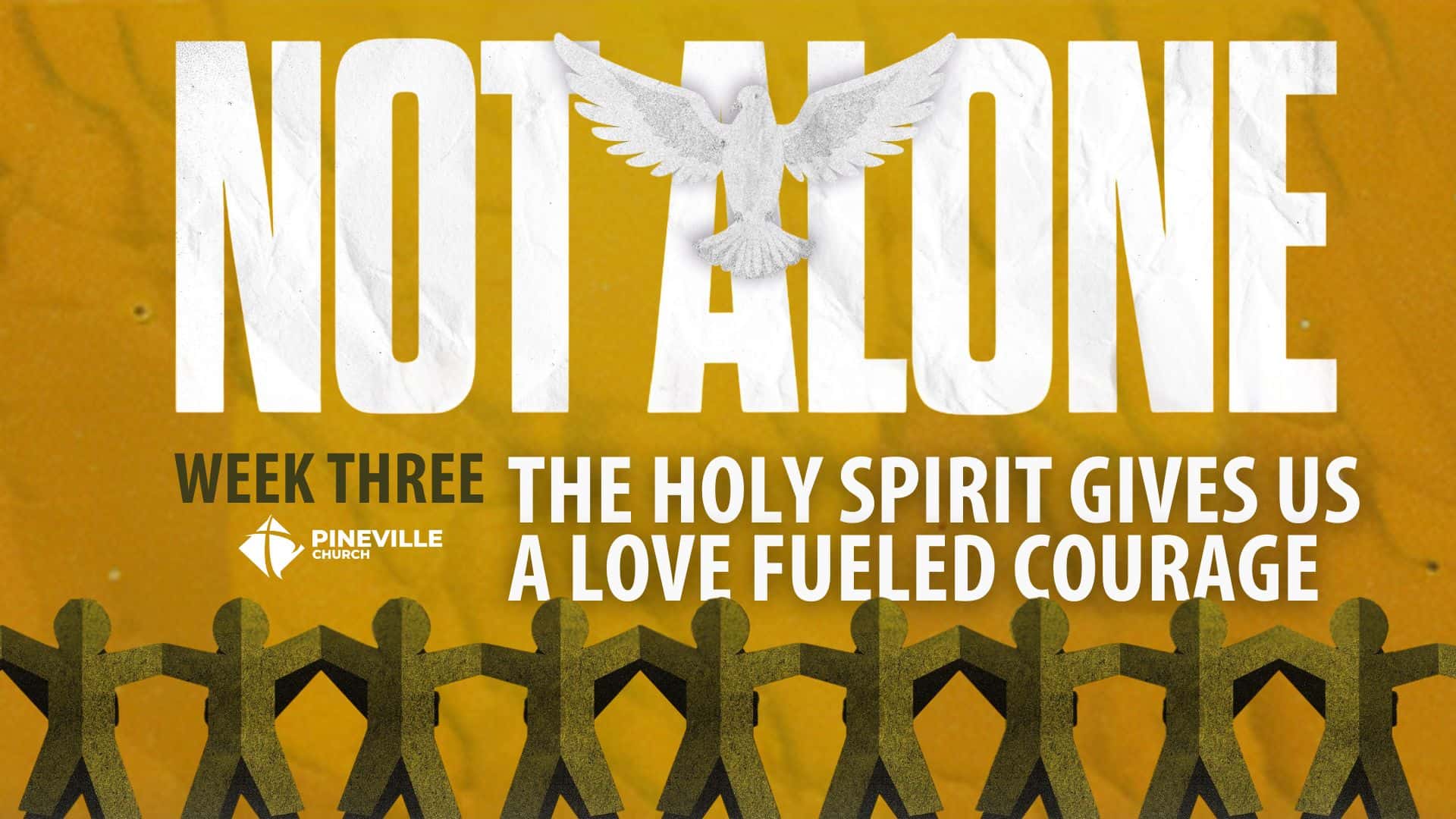 Not Alone wk3 cover