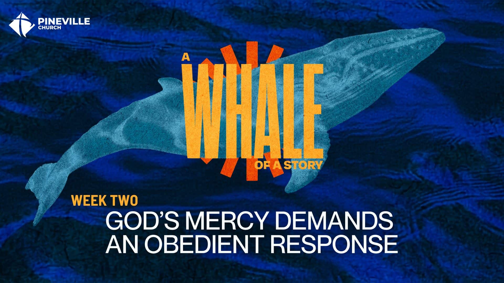A Whale Of A Story wk2 cover