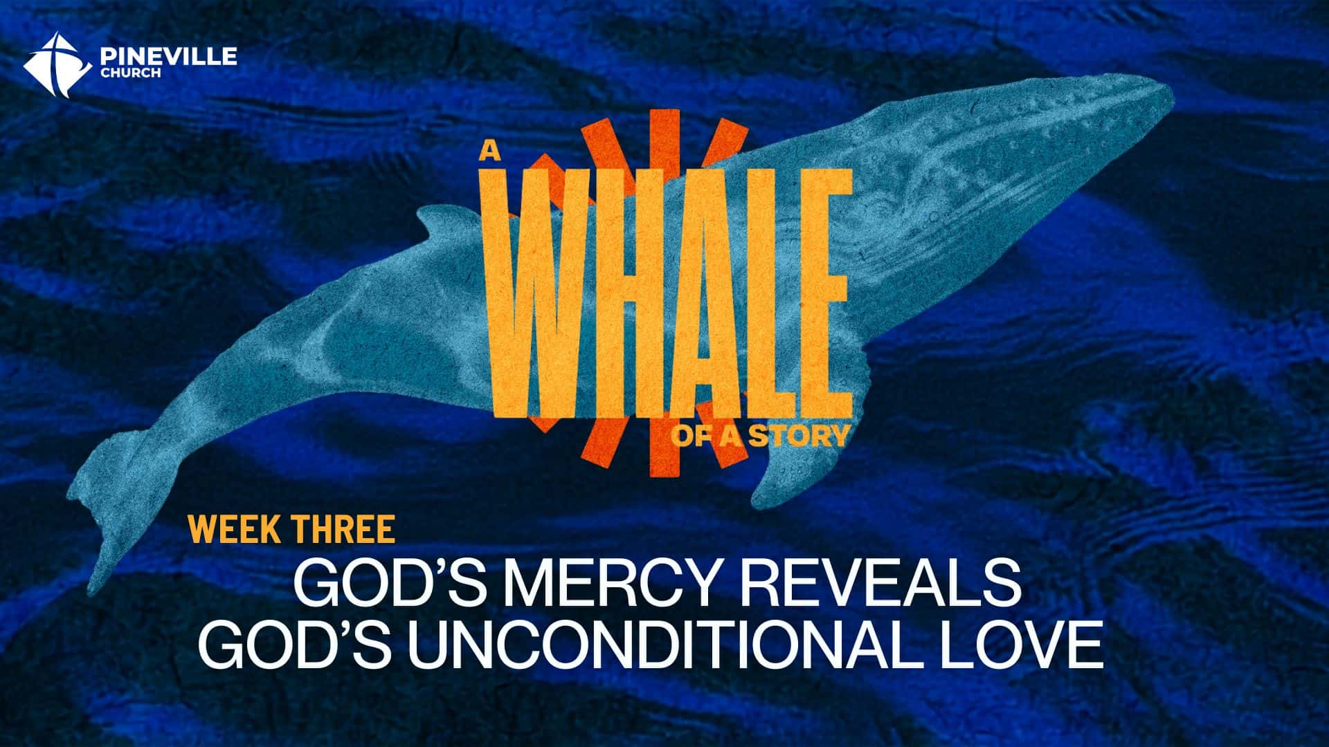 A Whale Of A Story wk3 cover