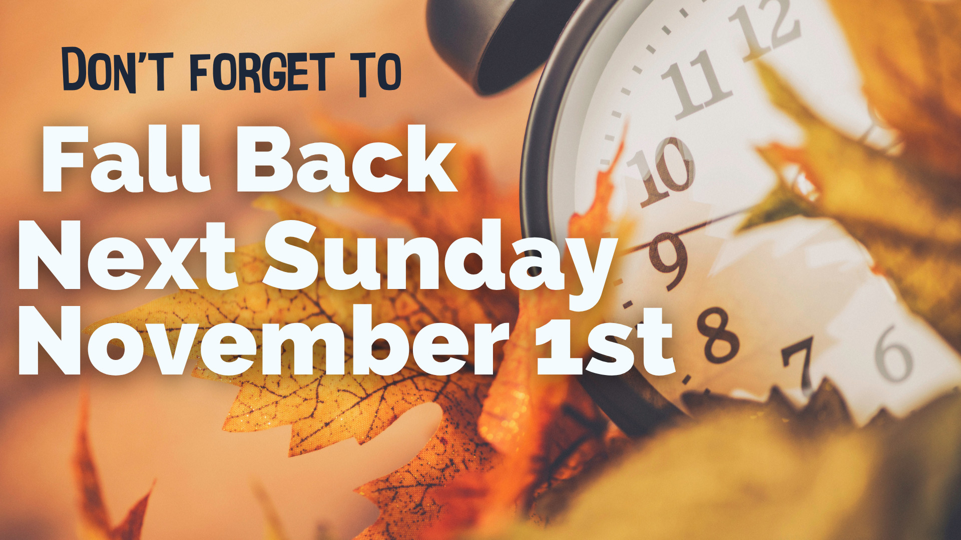 Fall Back 2026